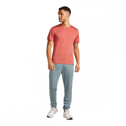 Mens Merino Blend Drayden Short Sleeve T-Shirt Stripe