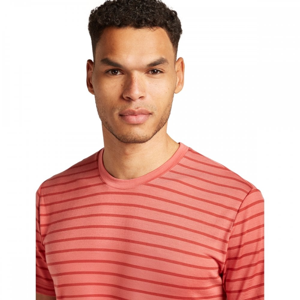 Mens Merino Blend Drayden Short Sleeve T-Shirt Stripe